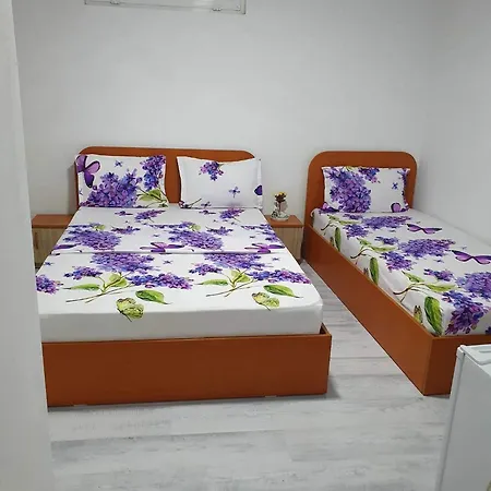 Pensiune Casa Sofia