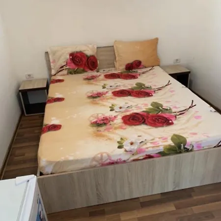 Pensiune Casa Sofia *